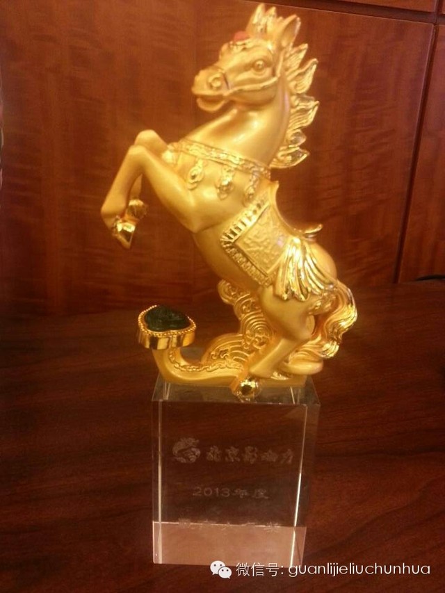 華商智業(yè)劉春華老師獲2013年“北影”“最具人氣”獎(jiǎng)